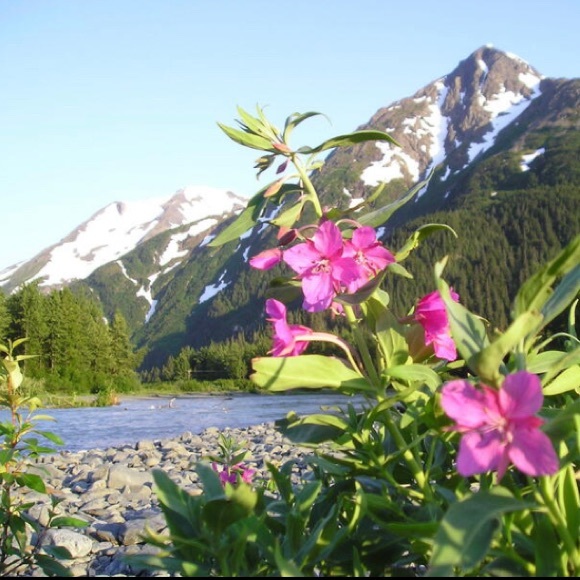 Meet your Posher, Chele - Picture 3 of 5